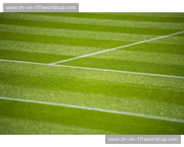 首发温网:草地上的第一缕阳光 首发温网:草地上的第一缕阳光